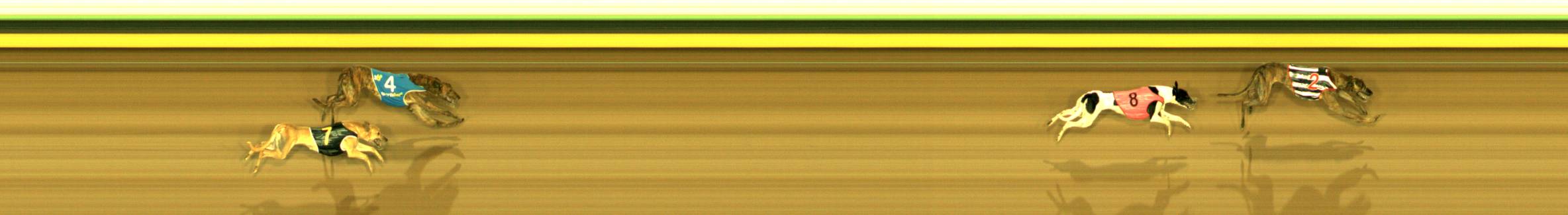 Photo finish for Sandown (SAP) Race 11