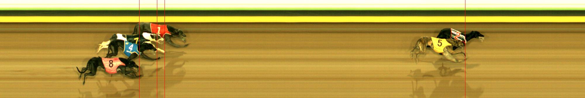 Photo finish for Sandown (SAP) Race 12