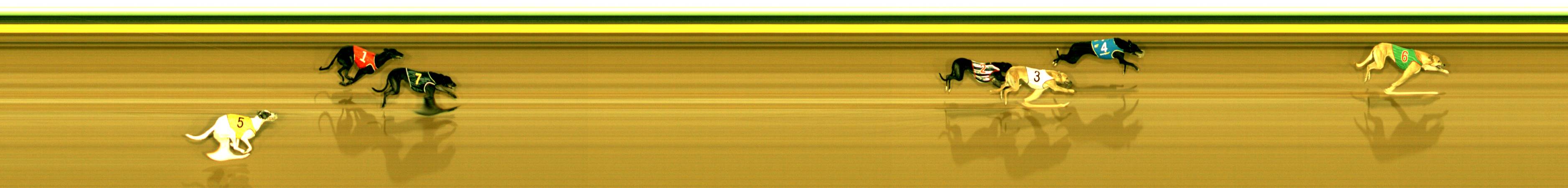 Photo finish for Sandown Race 1