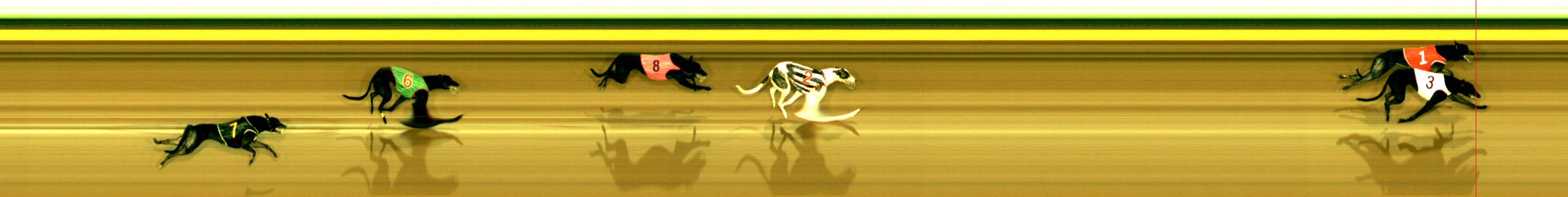 Photo finish for Sandown Race 2