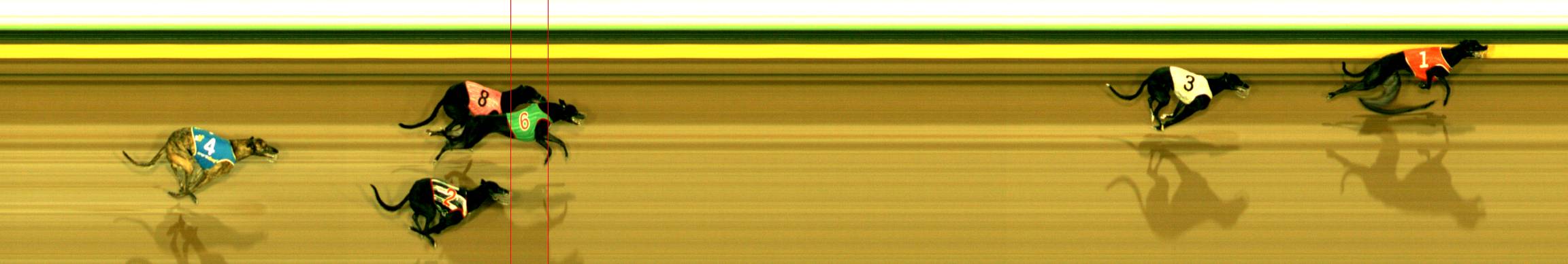 Photo finish for Sandown Race 3