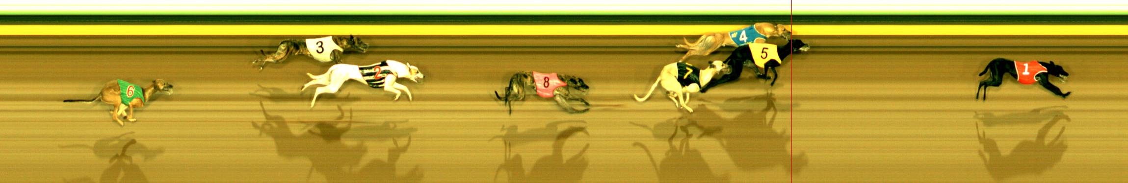 Photo finish for Sandown Race 4