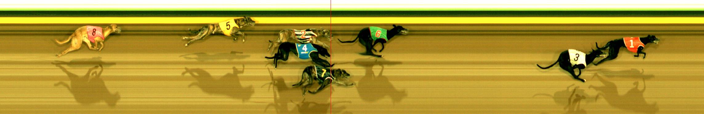 Photo finish for Sandown Race 5