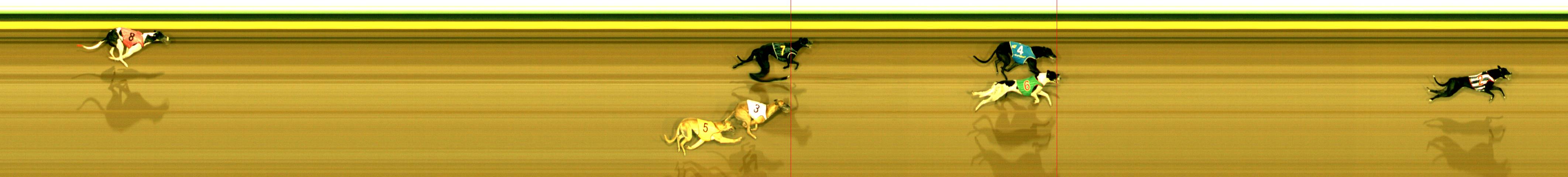 Photo finish for Sandown Race 6