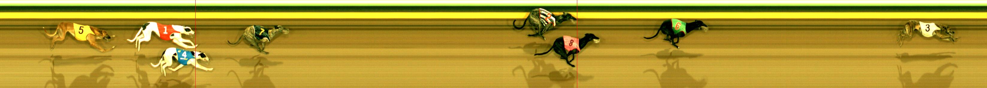 Photo finish for Sandown Race 7