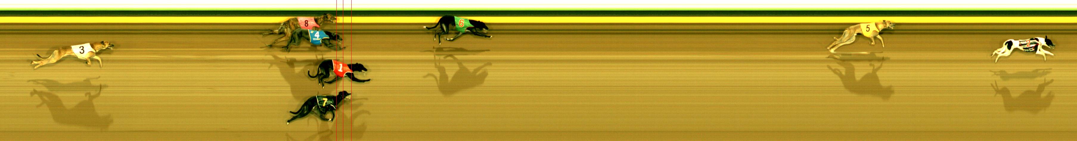 Photo finish for Sandown Race 8