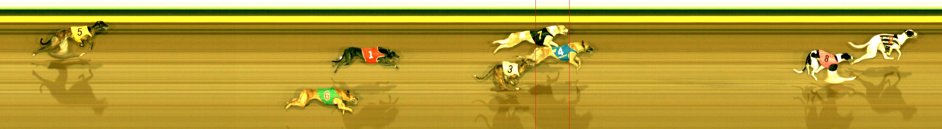Photo finish for Sandown Race 9