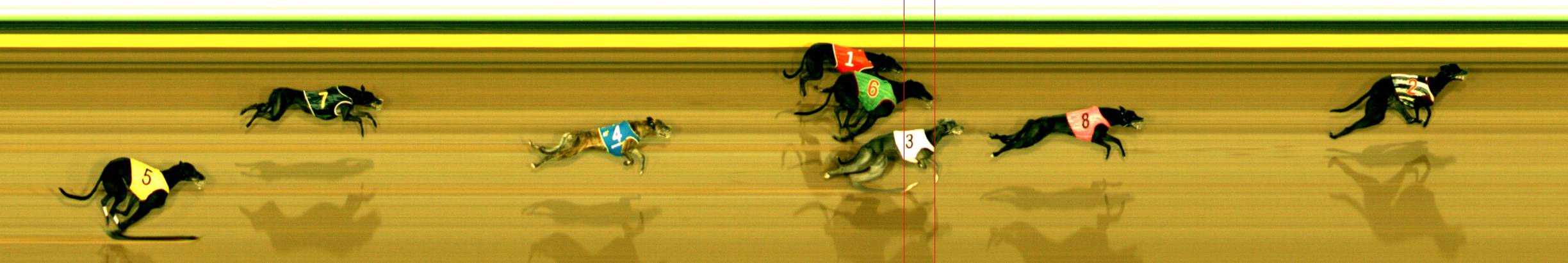 Photo finish for Sandown Race 10