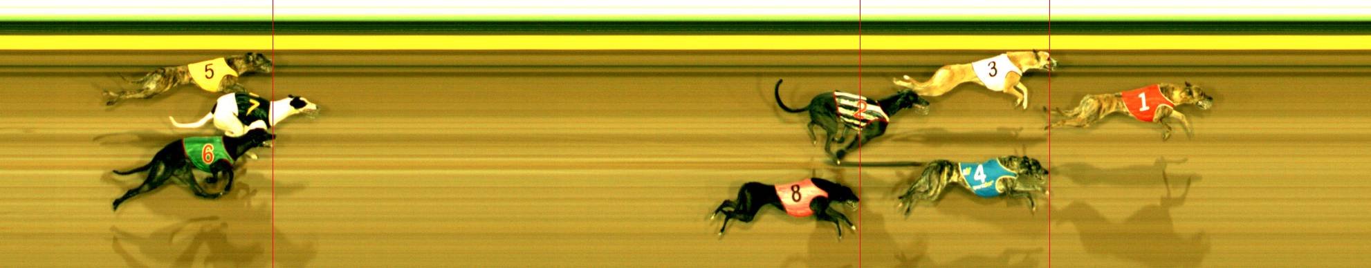 Photo finish for Sandown Race 11