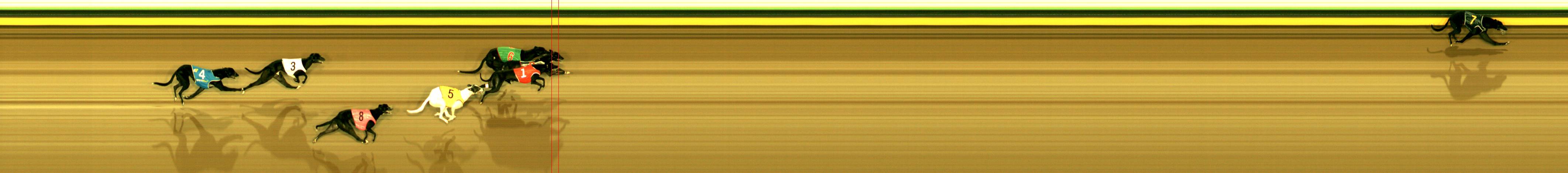 Photo finish for Sandown Race 1