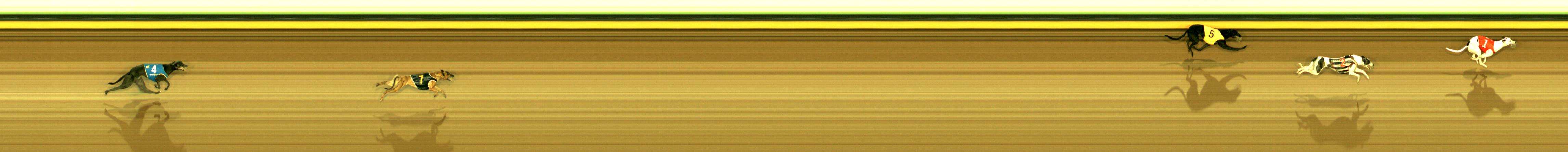 Photo finish for Sandown Race 2