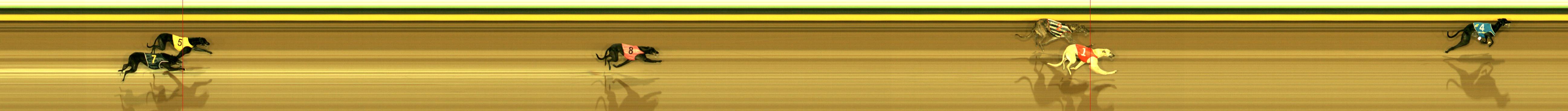 Photo finish for Sandown Race 3