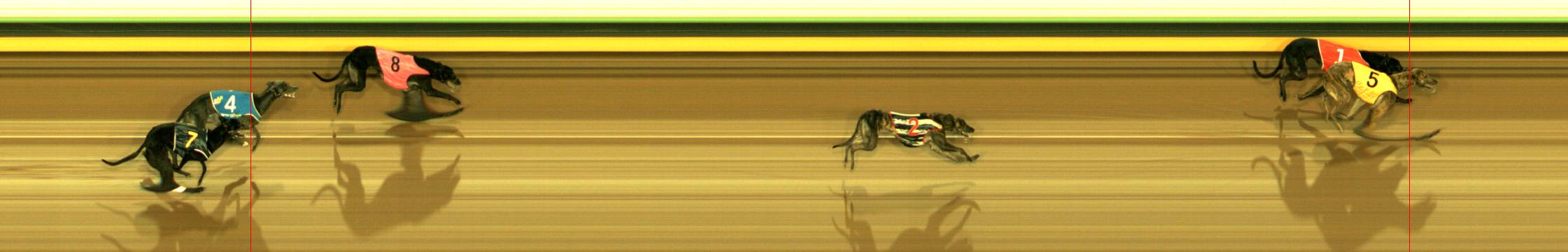 Photo finish for Sandown Race 4