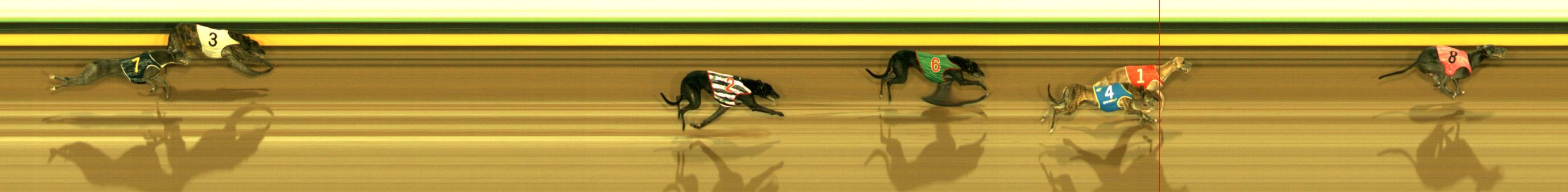 Photo finish for Sandown Race 5