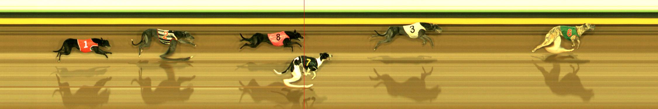 Photo finish for Sandown Race 6