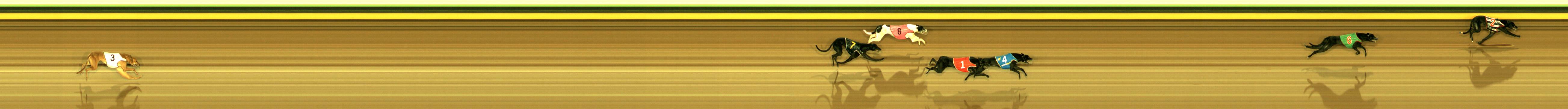 Photo finish for Sandown Race 7