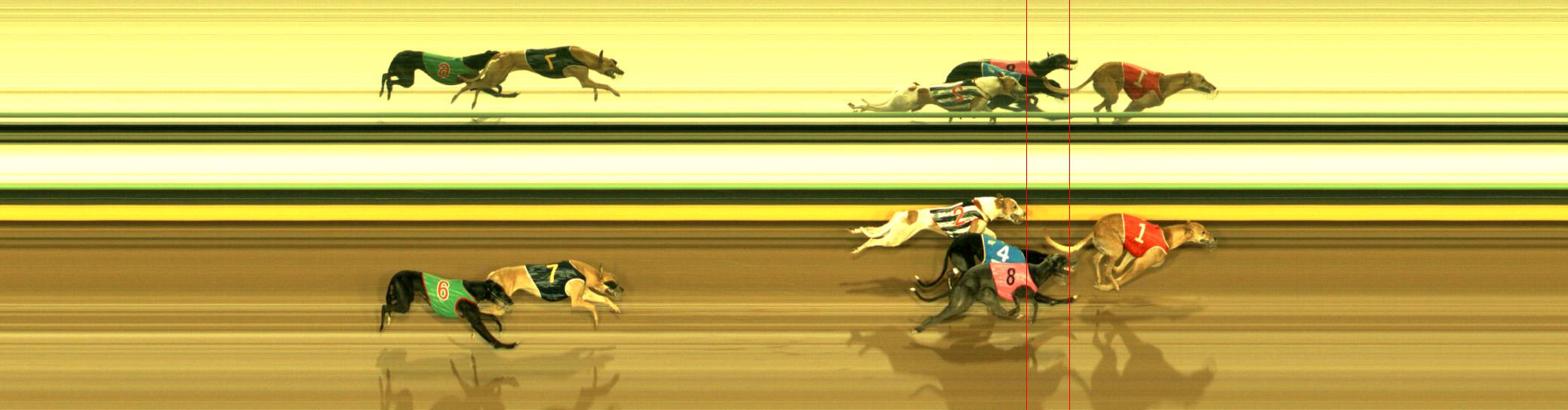Photo finish for Sandown Race 8