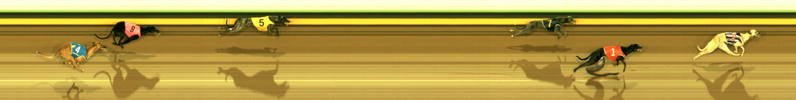 Photo finish for Sandown Race 9