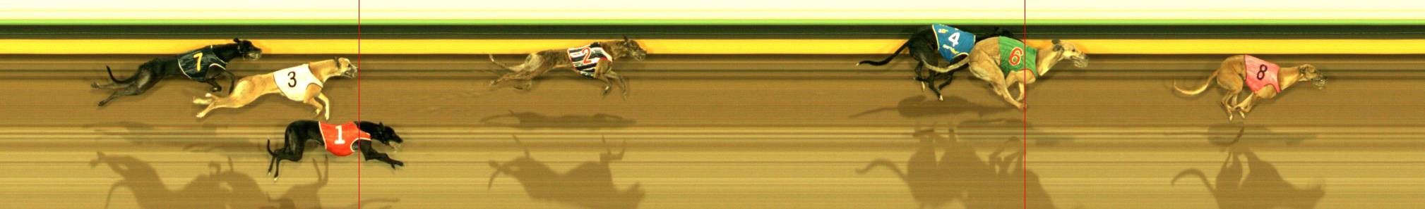 Photo finish for Sandown Race 10