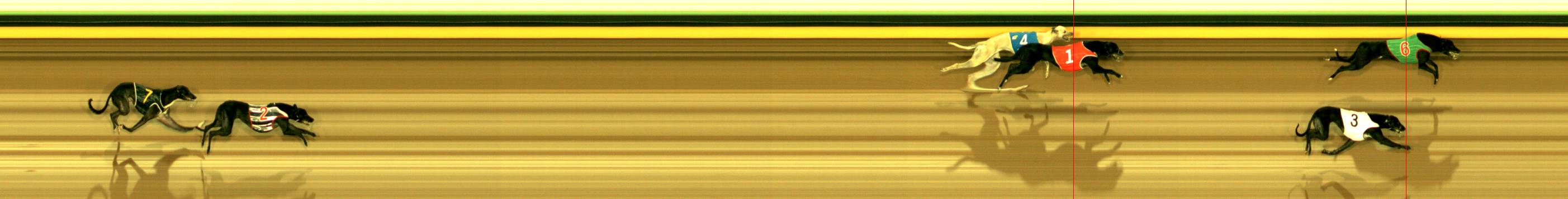 Photo finish for Sandown Race 1