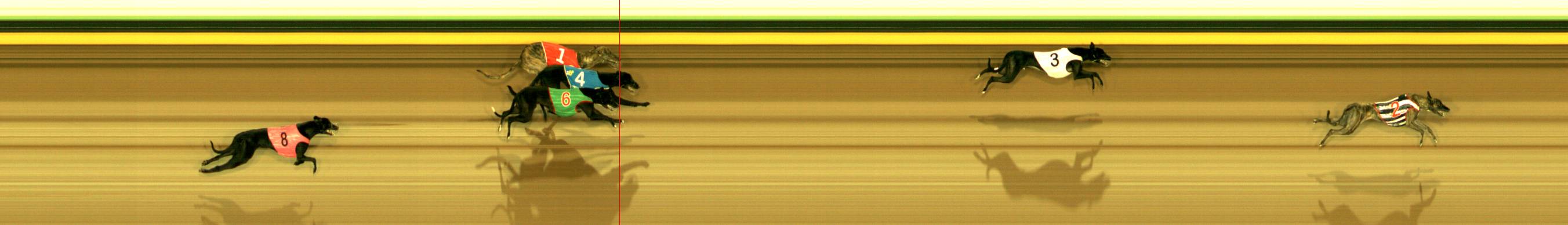 Photo finish for Sandown Race 2