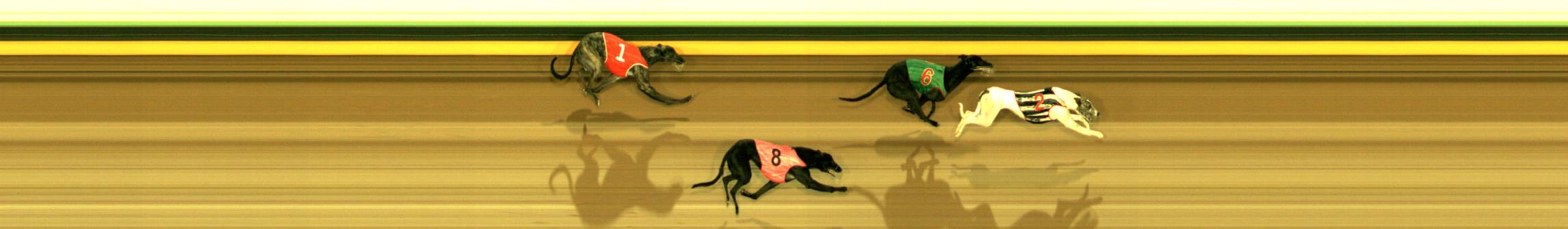 Photo finish for Sandown Race 3