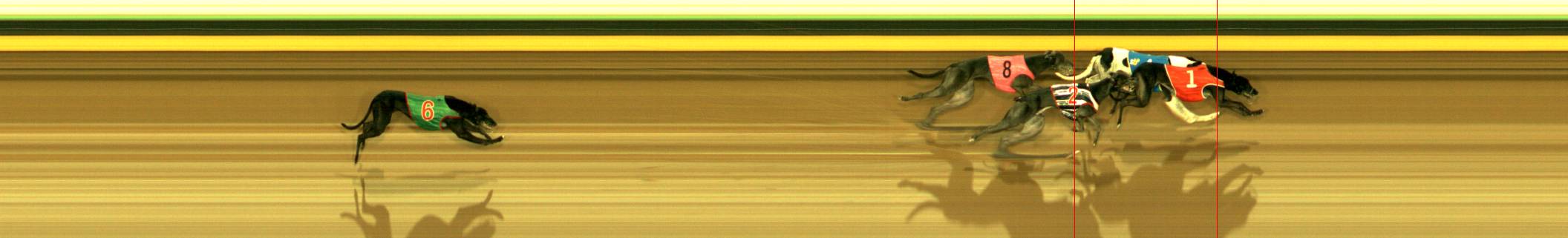 Photo finish for Sandown Race 4