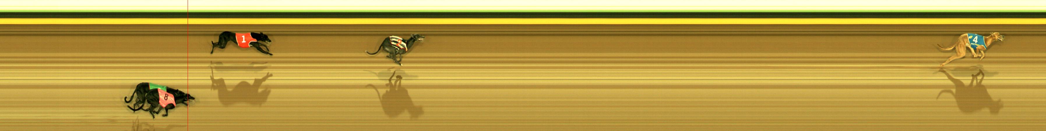 Photo finish for Sandown Race 5