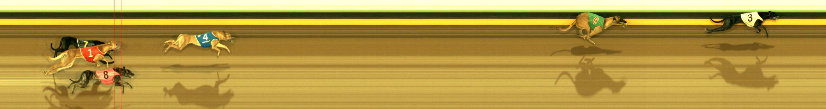 Photo finish for Sandown Race 6