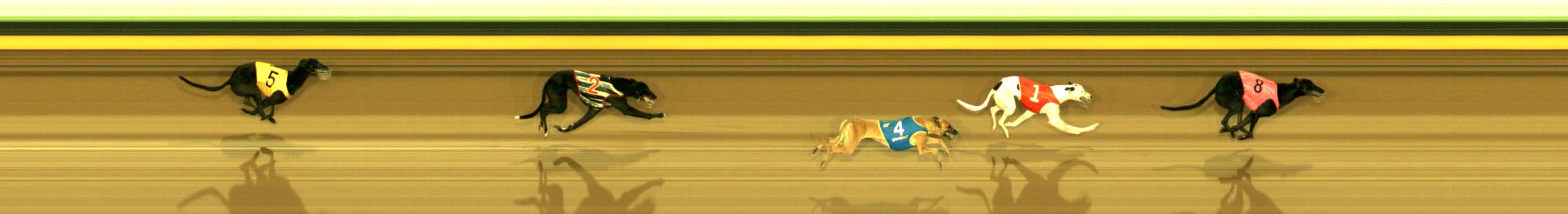 Photo finish for Sandown Race 7