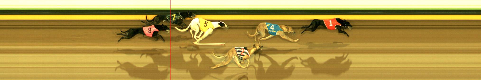 Photo finish for Sandown Race 8