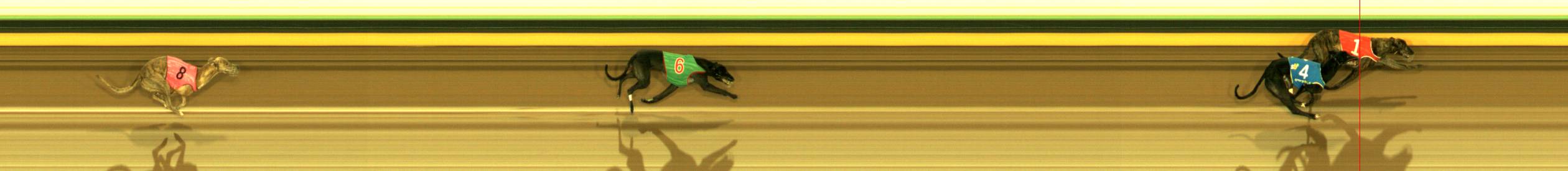 Photo finish for Sandown Race 9