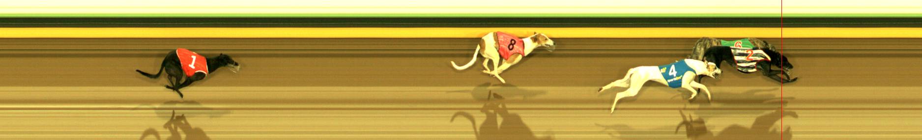 Photo finish for Sandown Race 10