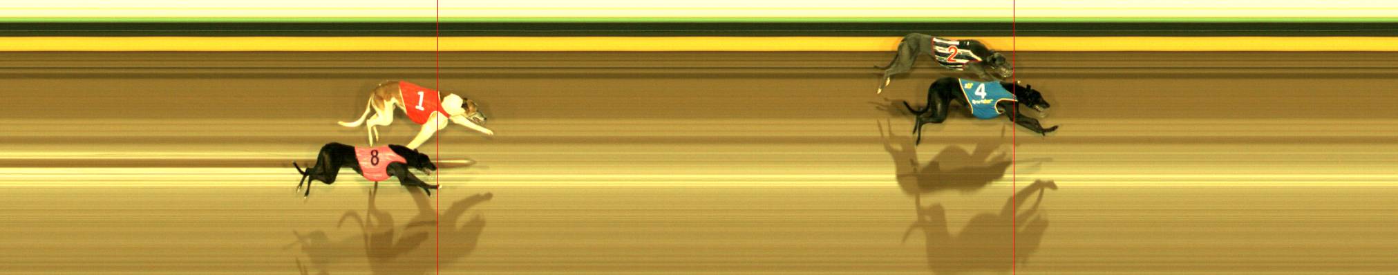 Photo finish for Sandown Race 11