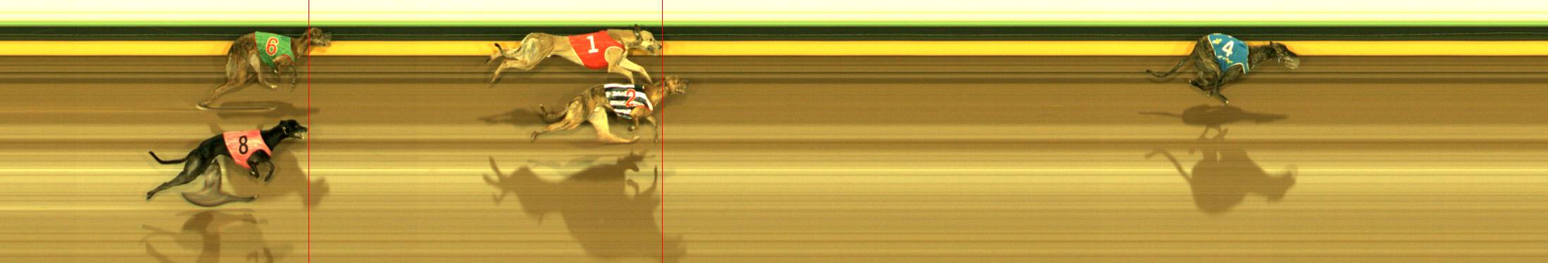 Photo finish for Sandown Race 12