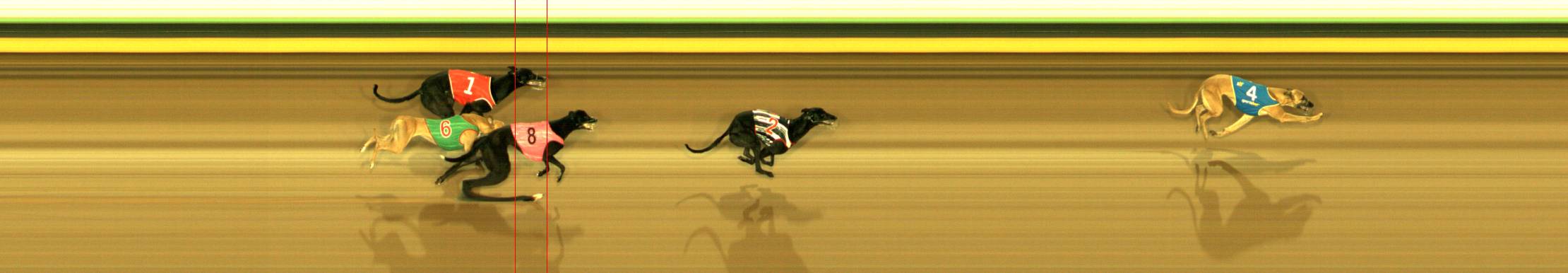 Photo finish for Sandown Race 1