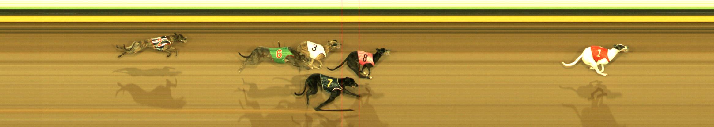 Photo finish for Sandown Race 2