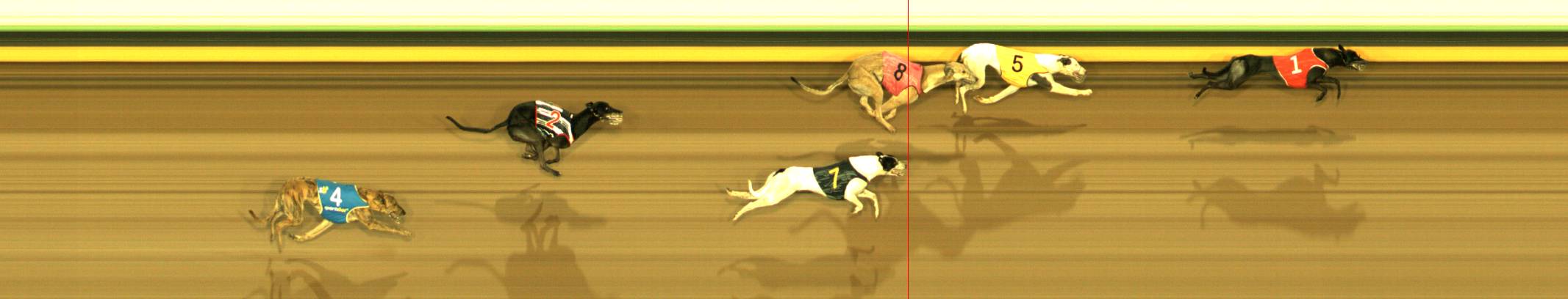 Photo finish for Sandown Race 3