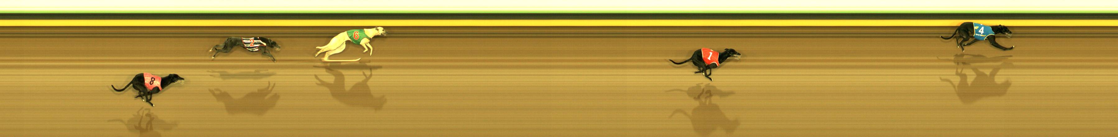 Photo finish for Sandown Race 4