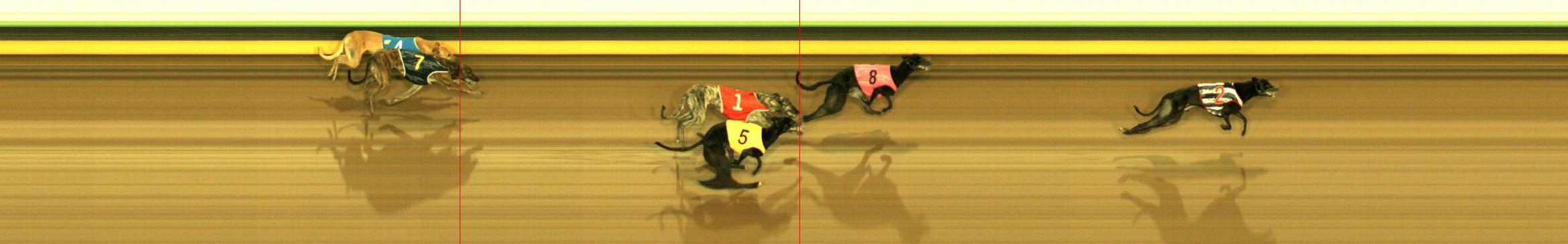 Photo finish for Sandown Race 5