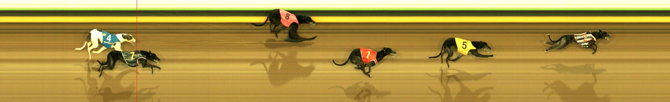 Photo finish for Sandown Race 6