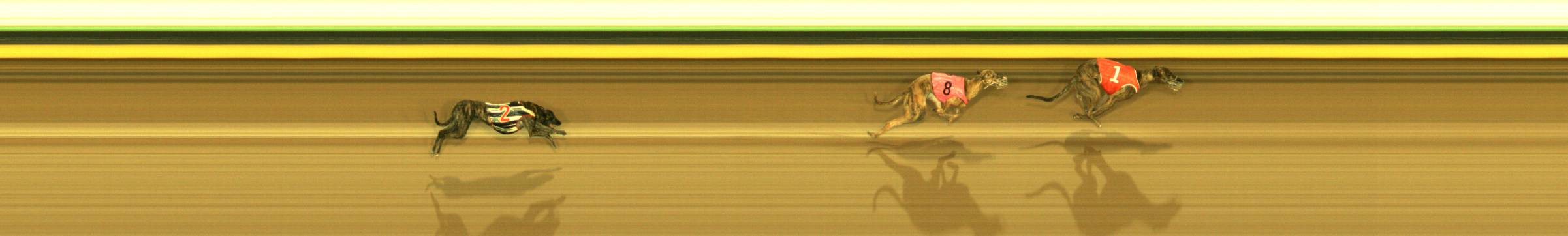 Photo finish for Sandown Race 7