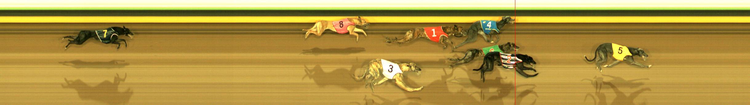 Photo finish for Sandown Race 8