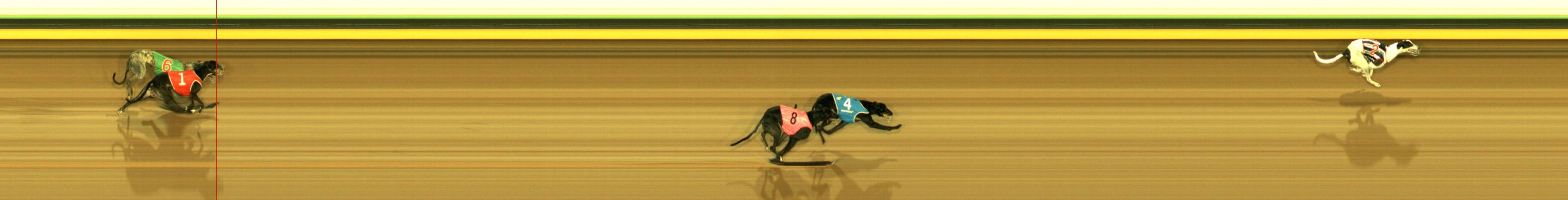Photo finish for Sandown Race 9