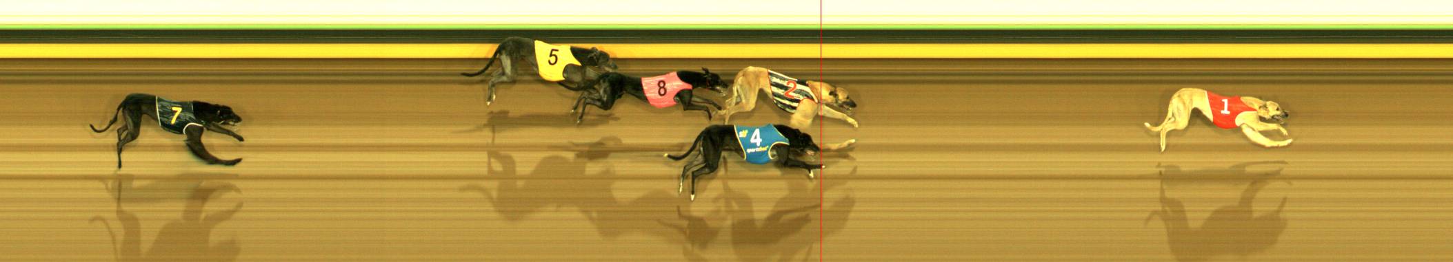Photo finish for Sandown Race 10