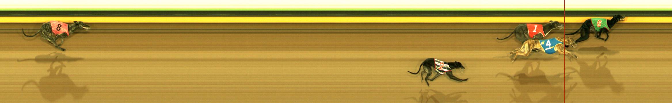 Photo finish for Sandown Race 11