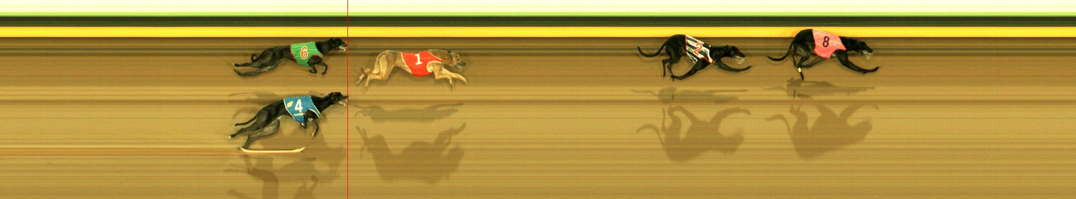 Photo finish for Sandown Race 12