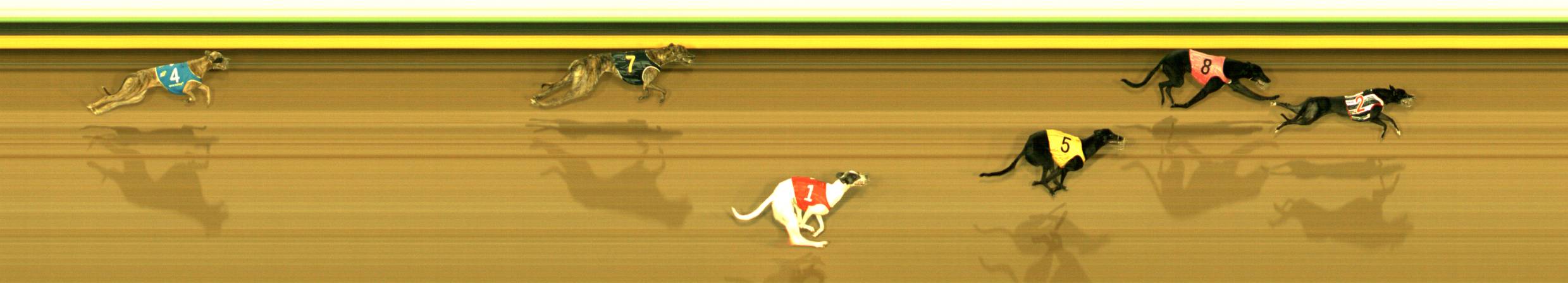 Photo finish for Sandown Race 1