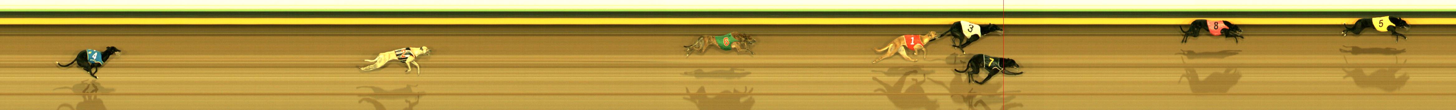 Photo finish for Sandown Race 2