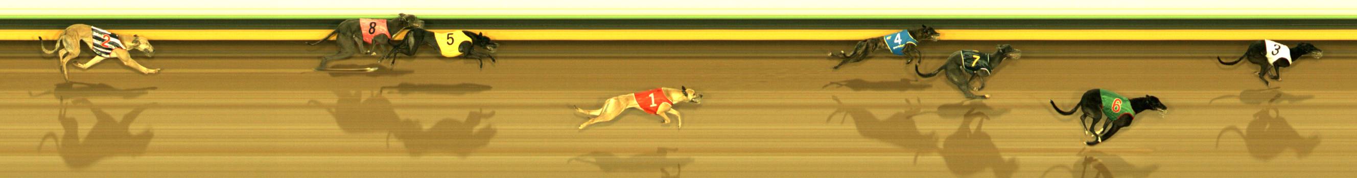Photo finish for Sandown Race 3